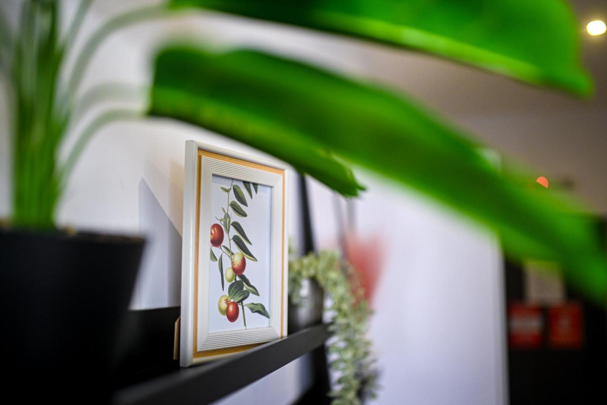 Urban Elegance - Stylish Central Accommodation Букурещ Стая снимка